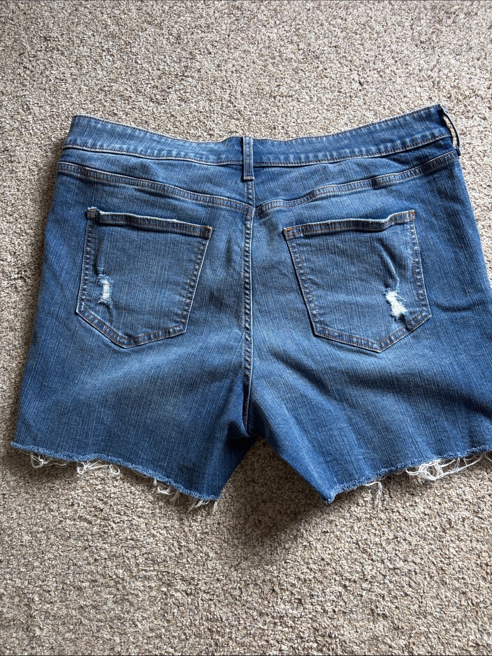 Torrid - High Rise 5” Shorts Stretch + Rigid - Picture 7 of 7